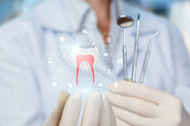 Trusted Estes Park, CO Dental Services Experts